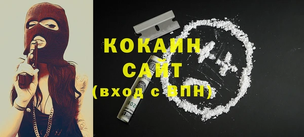 стаф Няндома