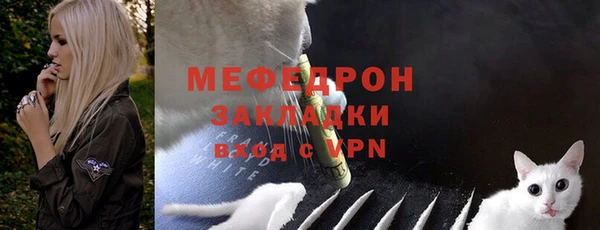 стаф Няндома