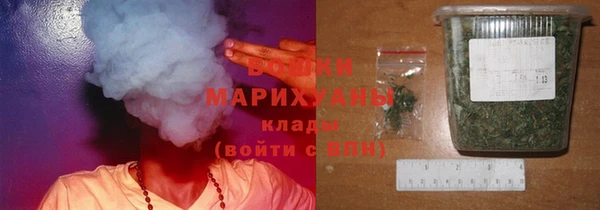 стаф Няндома