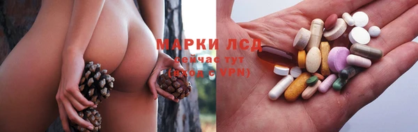 стаф Няндома