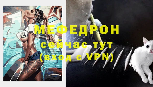 стаф Няндома