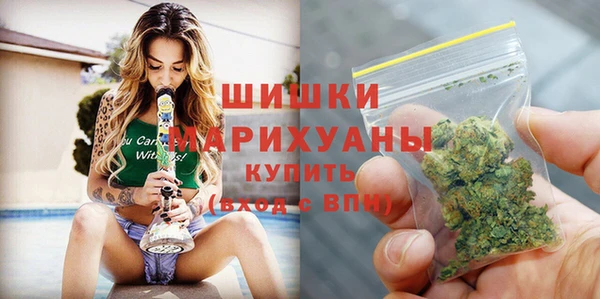 стаф Няндома
