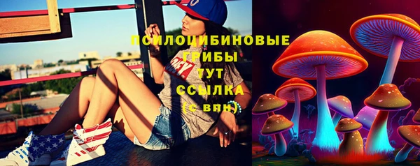 марки lsd Заводоуковск