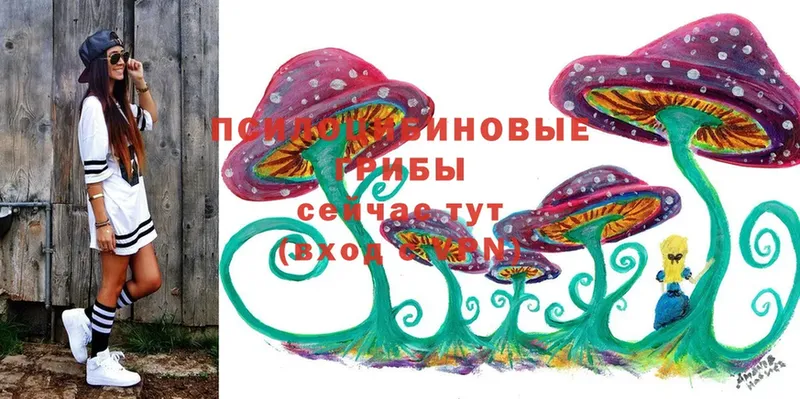 Псилоцибиновые грибы Psilocybine cubensis  где продают   Козьмодемьянск 